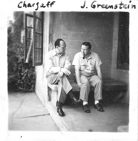 Chargaff, J. Greenstein,